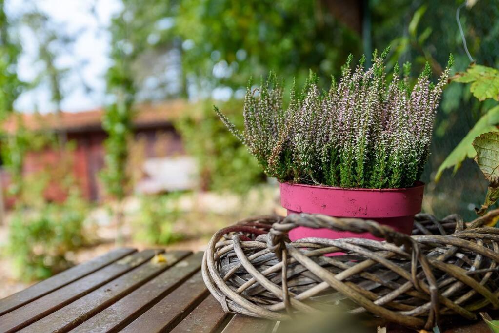 Spacious Wooden Cottage With Infra-Red Sauna At Veluwe Putten Esterno foto